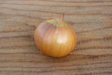Onion close-up on a wooden background. An unpeeled common onion onion lies on the board.