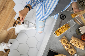 Happy woman placing healthy food into pp boxes admiring cute jack russell terrier playing at kitchen