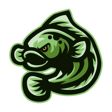 Cartoon angry channa fish mascot