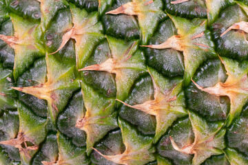 Pineapple texture background. Pineapple skin surface. Whole pineapple pattern