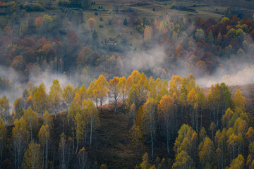 Beautiful rural scene on a foggy morning with colored forests and some houses in the background