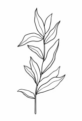 Abstract twig with leaves isolated on a white background. Vector hand-drawn illustration in outline style. Perfect for cards, logo, decorations, invitations.