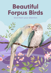 Poster template with forpus bird concept,watercolor style