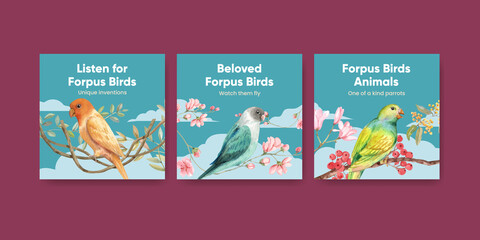 Fototapeta na wymiar Banner template with forpus bird concept,watercolor style