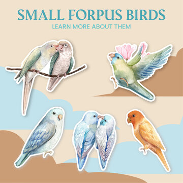 Sticker template with forpus bird concept,watercolor style