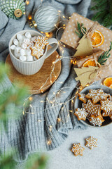 Fototapeta na wymiar Hot chocolate with marshmallows, warm cozy Christmas drink