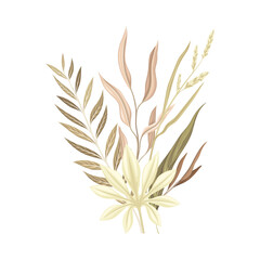 Wild dried plants and flowers. Bouquet in taupe, brown, sepia trendy colors for your own design vector illustration