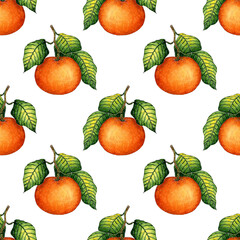 Watercolor painting pattern ripe tangerine with green leaves. Seamless repeating juicy citrus print. Winter seasonal fruits. Vitamin food isolated on white background. hand-drawn.