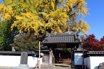 阿蘇市　秋の明行寺