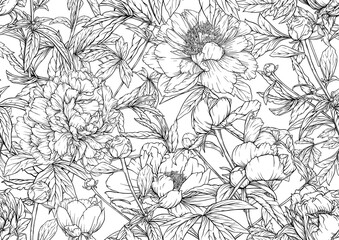 Peonies flowers. Seamless pattern, background. Outline hand drawing vector illustration. In botanical style
