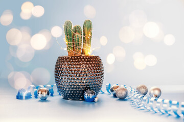 Cactus decorated with Christmas lights and ornaments on blue background, Christmas tree alternatives