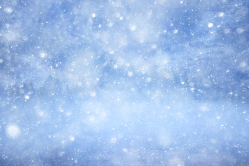 evening in winter forest landscape, view of dark trees mystic