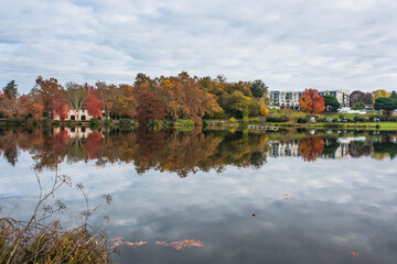 nice landscape with a lake near the town of Dax in autumn