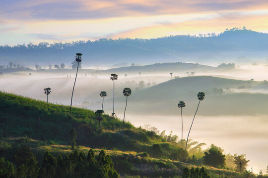 View point   Kong Neam Temple View at Khao Kho, Phetchabun of Thailand.