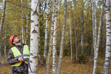 A forest worker measures the diameter of a tree. The forester works in the forest.