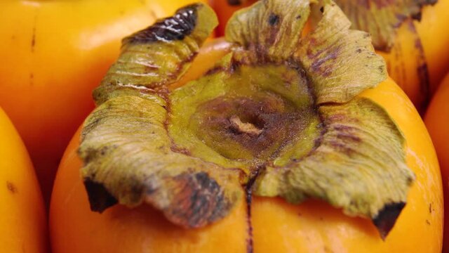 Ripe persimmon fruit with dry leaf close-up. Macro. Slow rotation. Autumn harvest concept