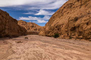 Deserted area with blooming flowers in the canyon