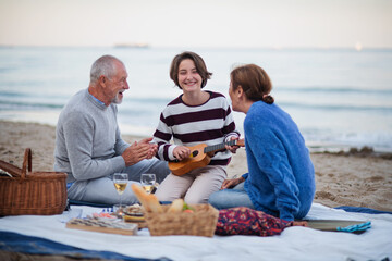 Happy senior couple with granddaughter sitting on blanket and having picnic outdoors on beach by...
