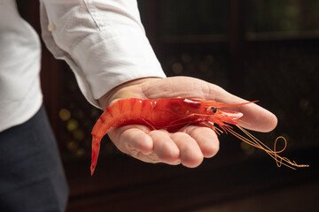 gamba roja