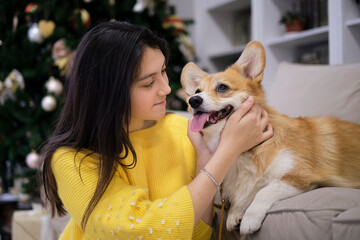 Little dog with owner playing and having fun. Christmas tree in the background. teenage girl in a yellow knitted sweater hugs a corgi dog. soft selective focus