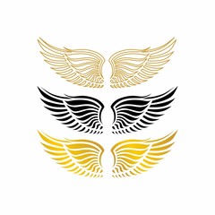 Set of outline, black and gold wings icons. Wings badges. Collection wings badges. Vector illustration.