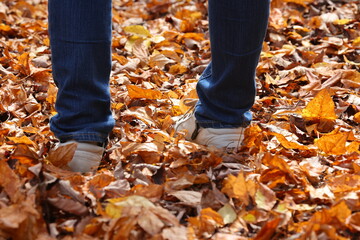 落ち葉の中の女性の足