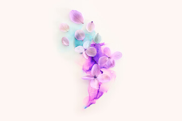 Creative image of pink and purple Hydrangea flowers on artistic ink background. Top view with copy space