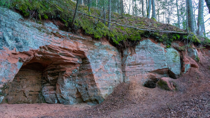 The 40 M Long Ziedleju Cliffs Consists of the Reddish Sandstones From Gauja Suite. A Sandstone Outcrop on the Banks of Gauja River, Incukalns, Latvia.