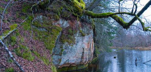 The 40 M Long Ziedleju Cliffs Consists of the Reddish Sandstones From Gauja Suite. A Sandstone Outcrop on the Banks of Gauja River, Incukalns, Latvia.