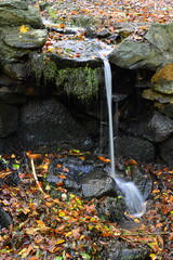 Herbst im Tal des Bohlenbach in der Eckernworth, Walsrode, Niedersachsen
