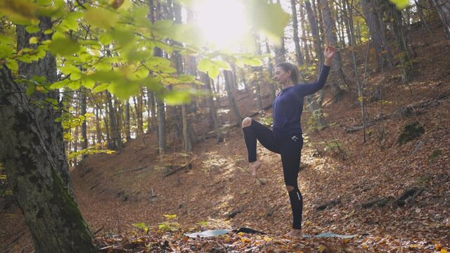 Woman in tracksuit practice yoga at nature. Female preforms exercises on ground covered dry leaves, balancing on one leg with outstretching hands and leg among picturesque autumn forest