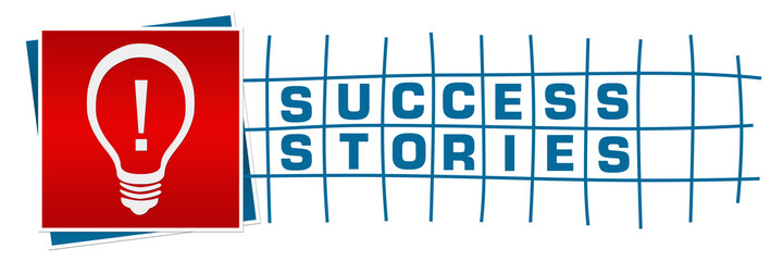 Success Stories Red Blue Box Lines Grid Bulb Horizontal 