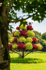 フラワーパーク