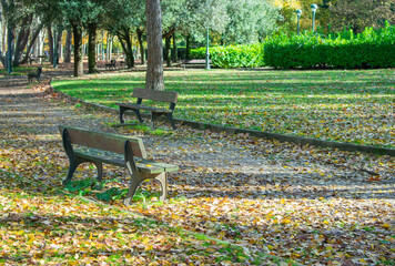 walk in the park with benches and dry leaves