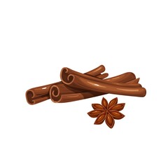 Cinnamon sticks and anise star vector illustration. Aromatic seasoning ingredient.