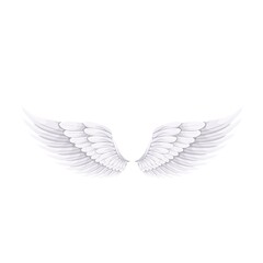 Fototapeta na wymiar White wings of Angel or bird , vector illustration.