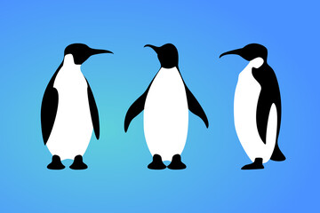 Isolated penguin on blue background. Set of sea animal, bird. Group of colorful penguin flat design.