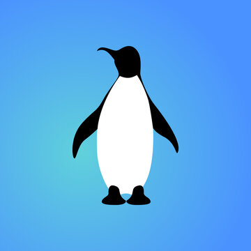 Isolated penguin on blue background. Sea animal, bird. Colorful penguin flat design. Front view.