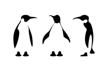 Set of isolated black contour of penguin on white background. Sea animal, bird. Group of silhouette of penguin flat design. © olkita
