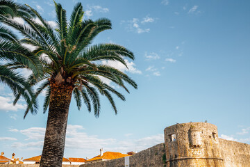 Budva Citadel fortress and palm tree in Budva, Montenegro