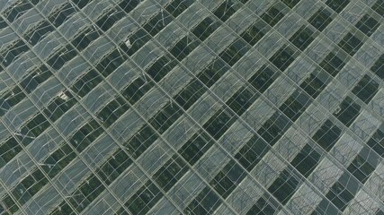 Abstract green geometric background. Illuminated greenhouses at night. Agricultural infrastructure on glass roofs.