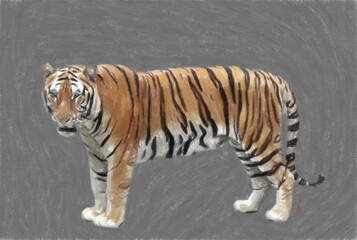 Tiger side view. Colorful illustration. Pastel drawing.
