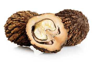 Black walnuts isolated on white background. With clipping path.