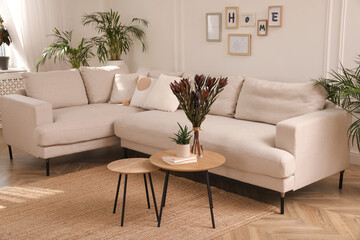 Stylish living room with comfortable sofa and beautiful houseplants