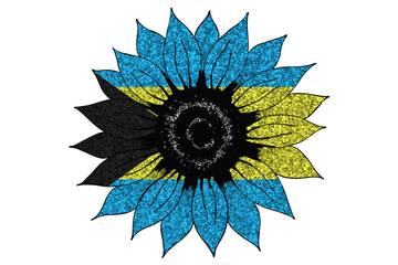 Big drawn glitter sunflower in colors of national flag. Bahamas