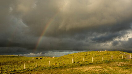 arcobaleno