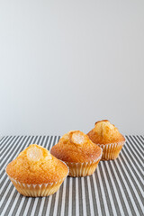 Two small chocolate chip muffins