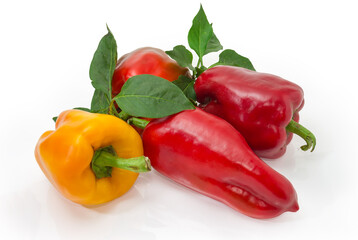 Red and yellow bell peppers with twig on white background