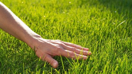 Human palm touching lawn grass low angle view