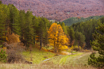 Beautiful mountain landscape of the Abruzzo Lazio and Molise National Park in autumn